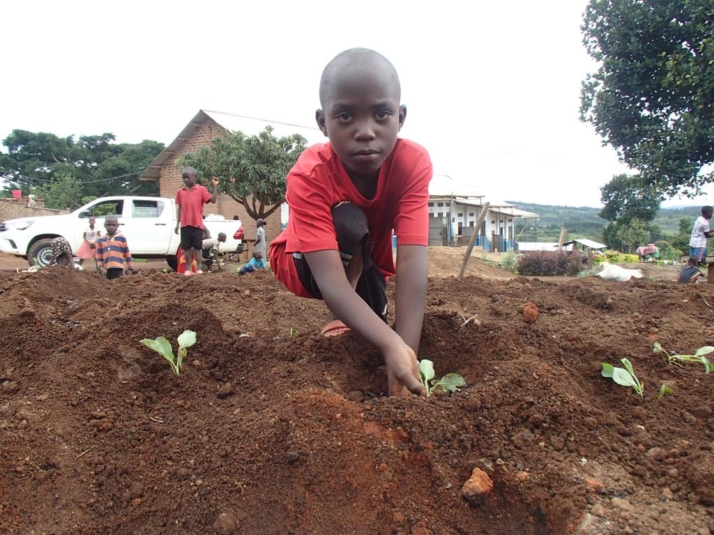 180017 - Ouganda: jardins potagers dans les écoles