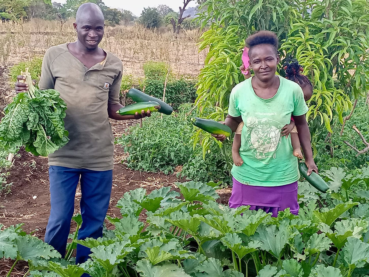 220039 - Kenia: Mit trocken-resistentem Saatgut &  Bio-Landbau der Dürre trotzen