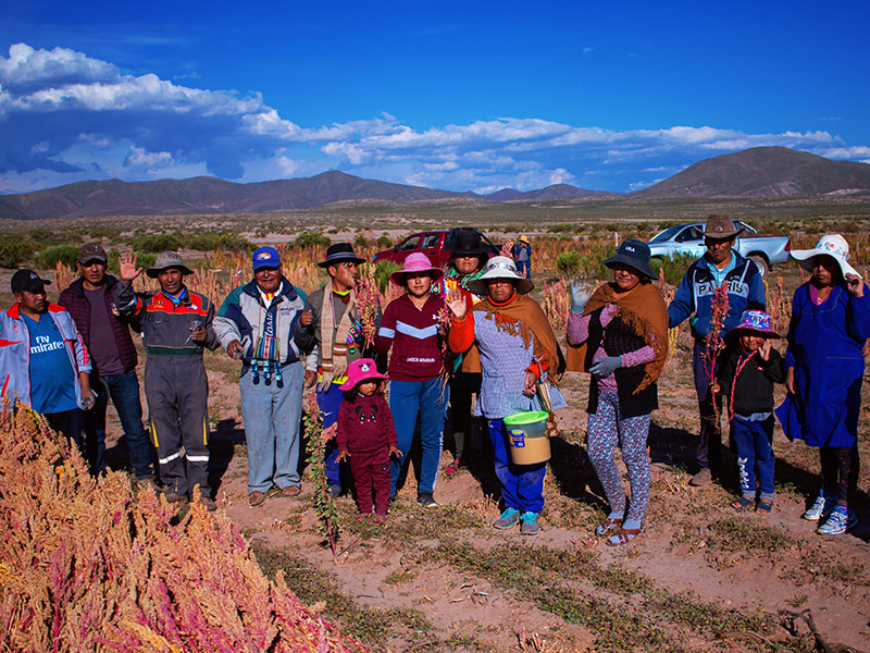 220043 - Bolivien: Lastwagen ermöglicht Kleinbauern die Vermarktung von Quinoa