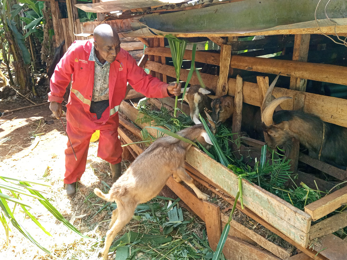 230025 - Kenia: Begleitung von Kleinbauernfamilien zu nachhaltiger Landwirtschaft 