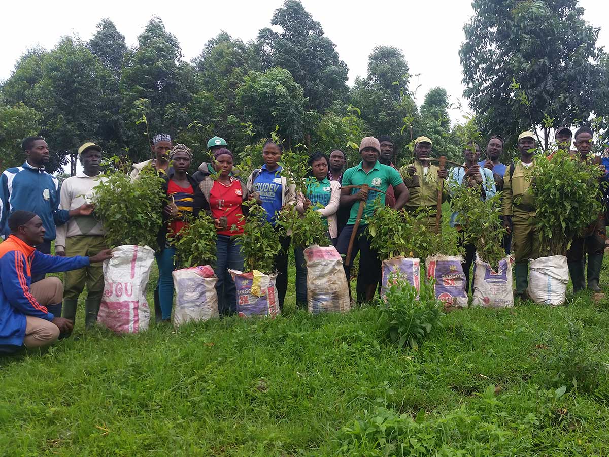 230029 - Kamerun: Ernährungssicherheit und Einkommen verbessern, wertvolle Wälder und Tiere schützen