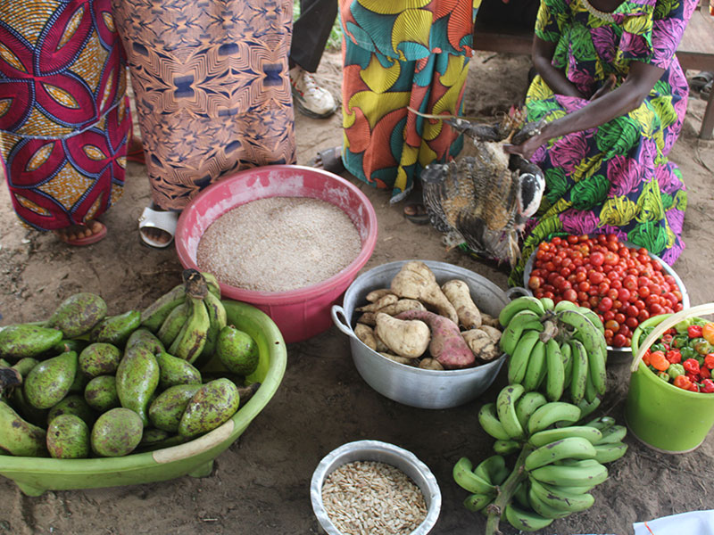 230034 - DR Kongo: Selbsthilfe und Solidarität in Dorfgruppen führen zu verbesserter Ernährungssicherheit