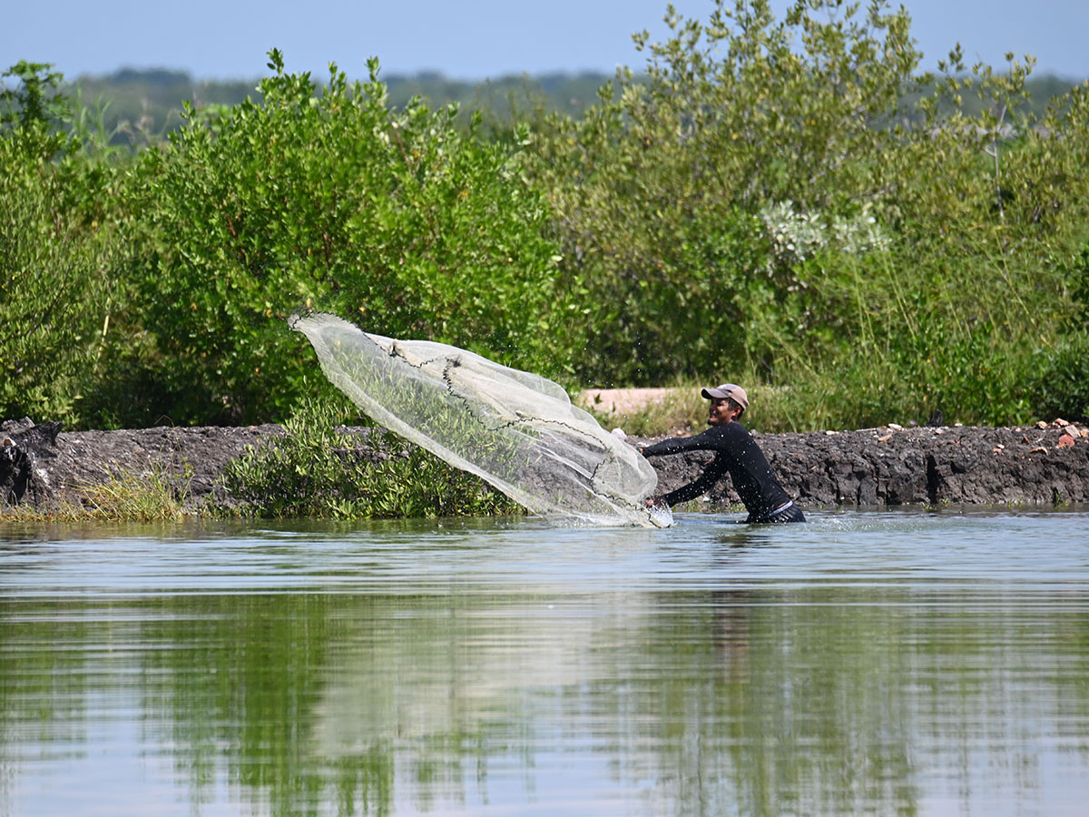 240011 - Honduras: Proteggere la natura per garantire i mezzi di sussistenza e prevenire l’emigrazione