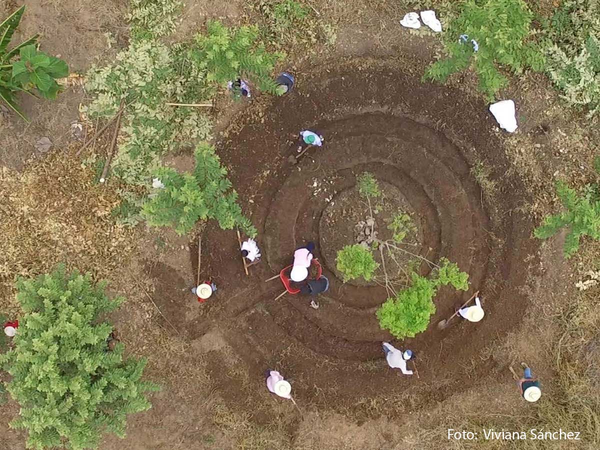 240022 - Colombia: Coltivare il futuro con sementi tradizionali