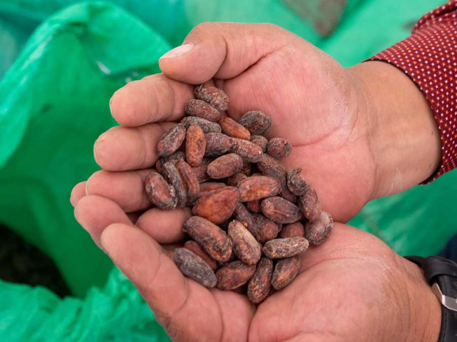 260022 - Bolivien: Transporter für Kakao sichert Einkommen von Bauernfamilien