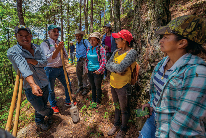 230046 - Honduras: Une aide pratique pour les communautés autochtones et leur écosystème