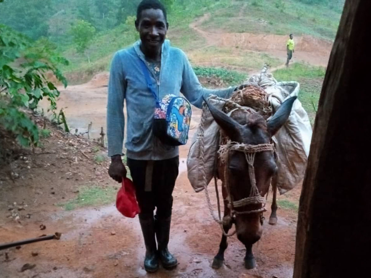 220018 - Haïti: Des mulets comme seul moyen de transport