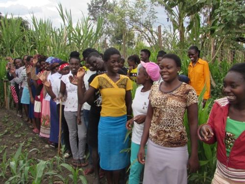 220001 - Kenya: Une production durable à haut rendement grâce à l’agriculture biointensive